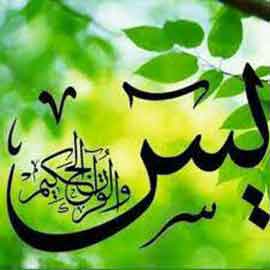 🌹خواص سوره یاسین🌹 🌹خواص سوره یاسین🌹