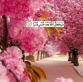 🍃🌹 رفــع غـم و انـدوه 🌹🍃 🍃🌹 رفــع غـم و انـدوه 🌹🍃