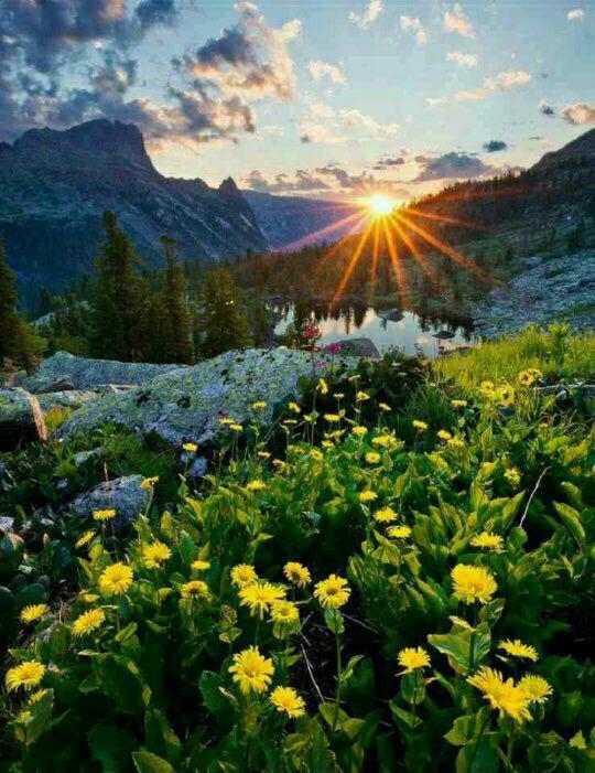 🍥داستان آموزنده 🍥 🍥داستان آموزنده 🍥