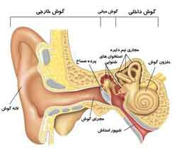  🍀 برای سلامتی گوش🍀